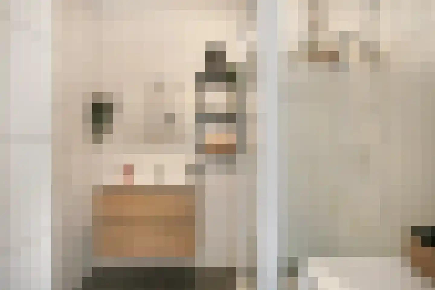 Livingstonelaan 266 Utrecht thumbnail 27