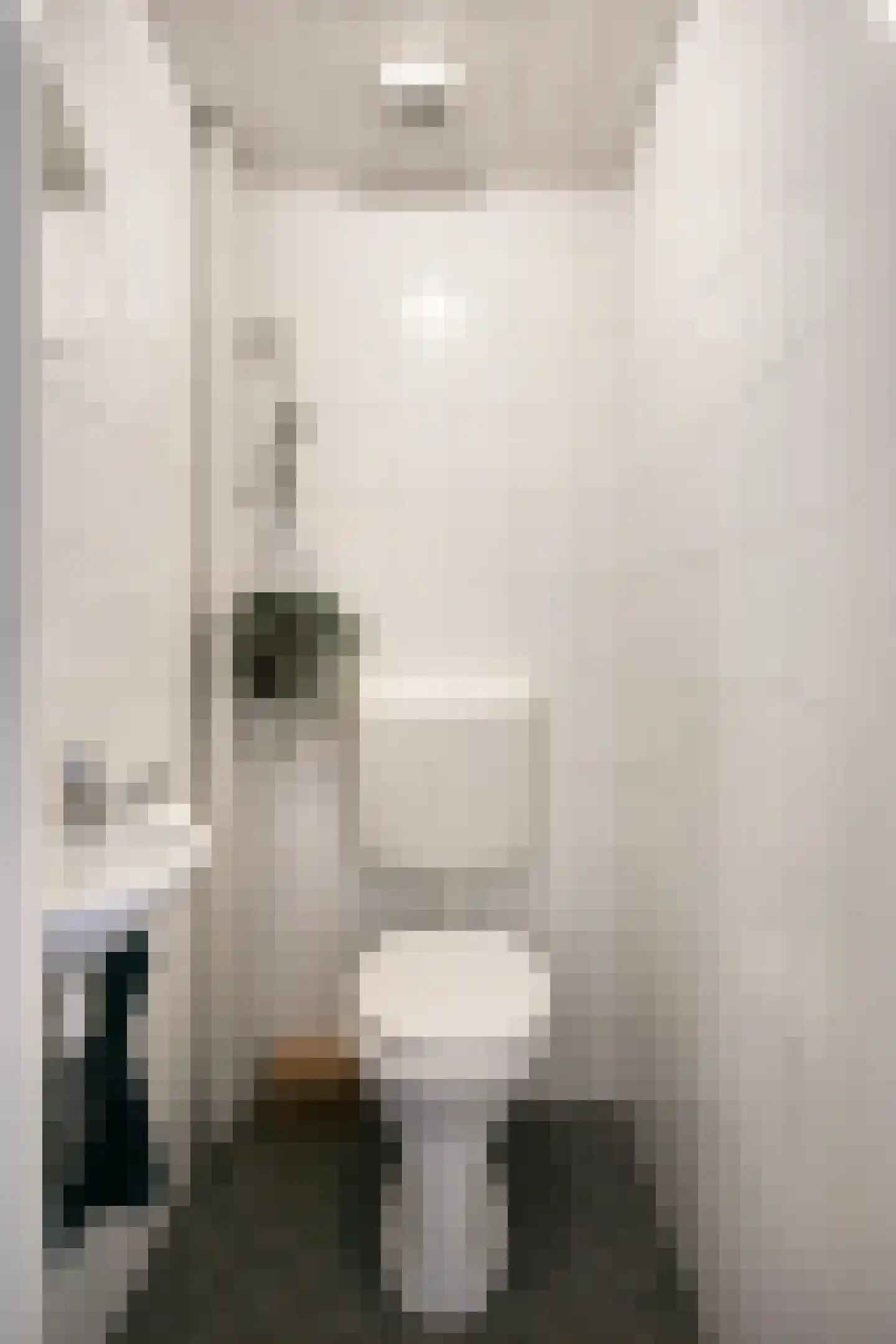 Livingstonelaan 266 Utrecht thumbnail 28