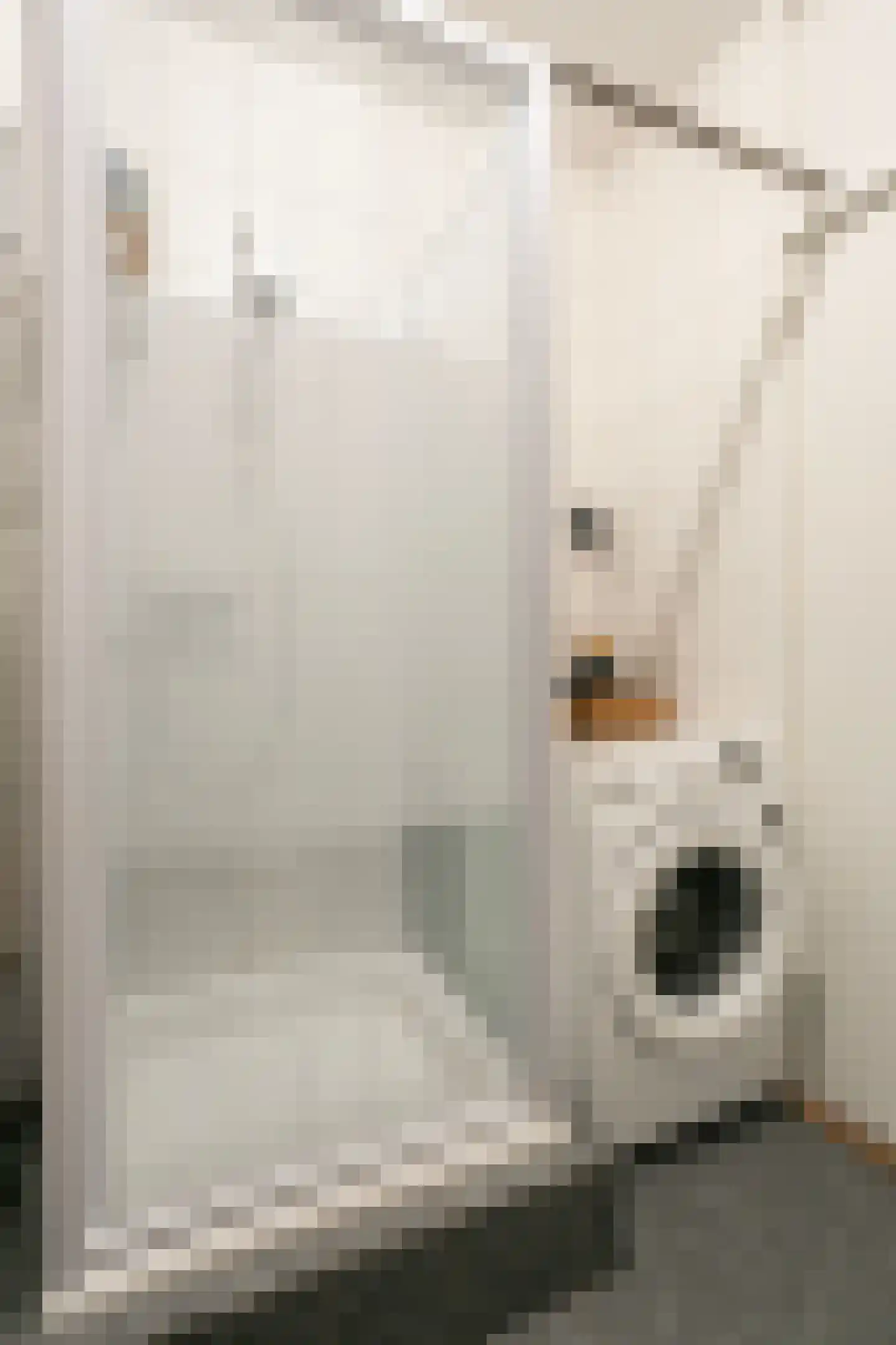 Livingstonelaan 266 Utrecht thumbnail 30