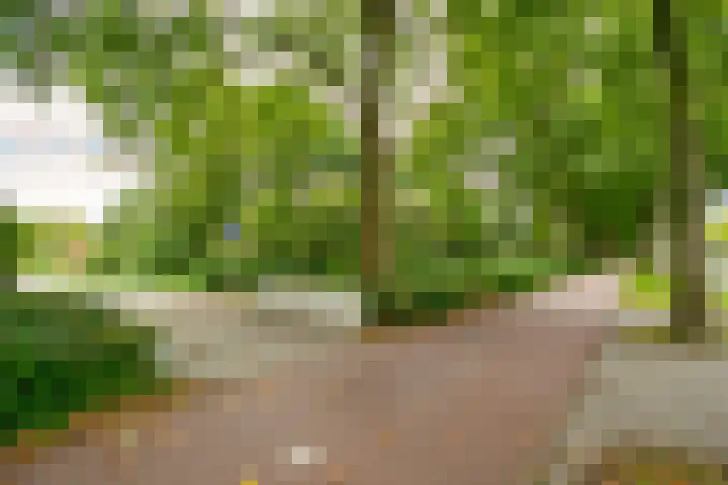Livingstonelaan 266 Utrecht thumbnail 36