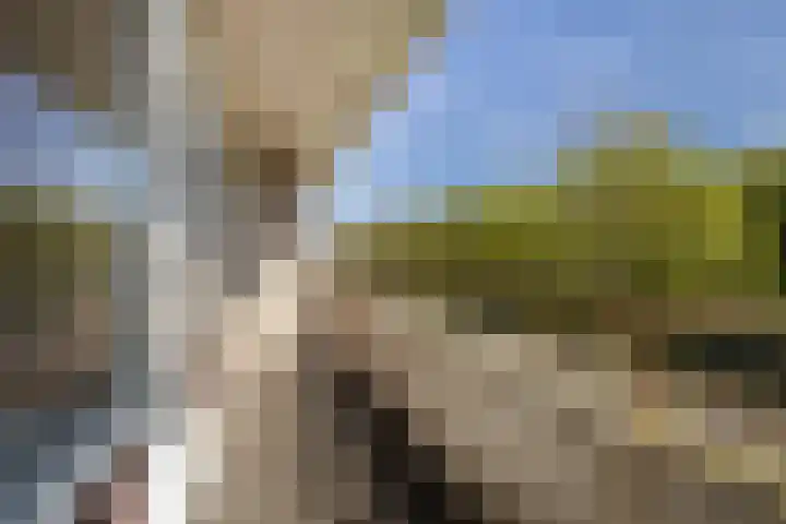 Livingstonelaan 272 Utrecht thumbnail 11