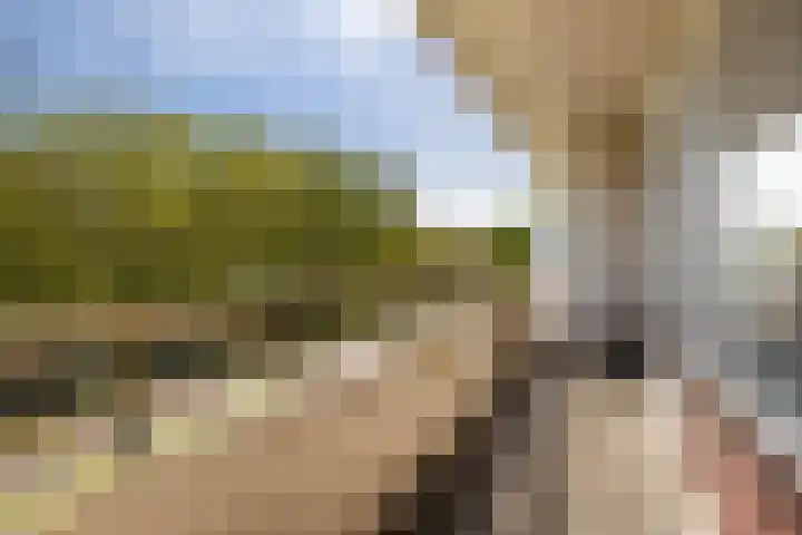 Livingstonelaan 272 Utrecht thumbnail 12