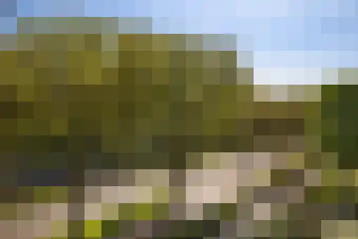 Livingstonelaan 272 Utrecht thumbnail 13