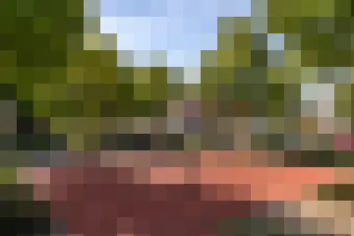 Livingstonelaan 272 Utrecht thumbnail 20