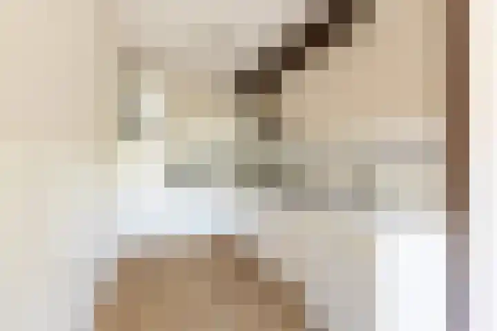 Livingstonelaan 272 Utrecht thumbnail 6