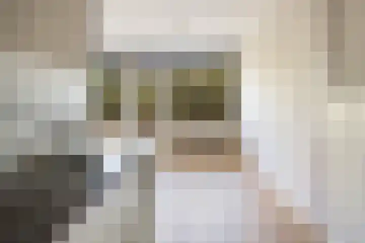 Livingstonelaan 272 Utrecht thumbnail 8