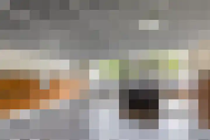 Livingstonelaan 274 Utrecht thumbnail 12