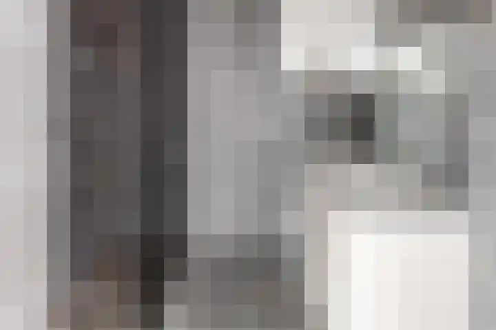 Livingstonelaan 274 Utrecht thumbnail 18