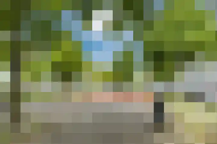 Livingstonelaan 274 Utrecht thumbnail 23