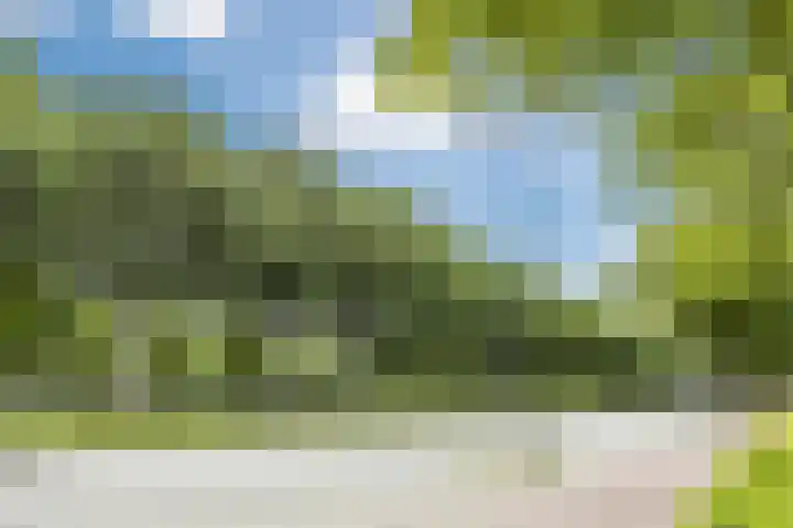 Livingstonelaan 274 Utrecht thumbnail 24