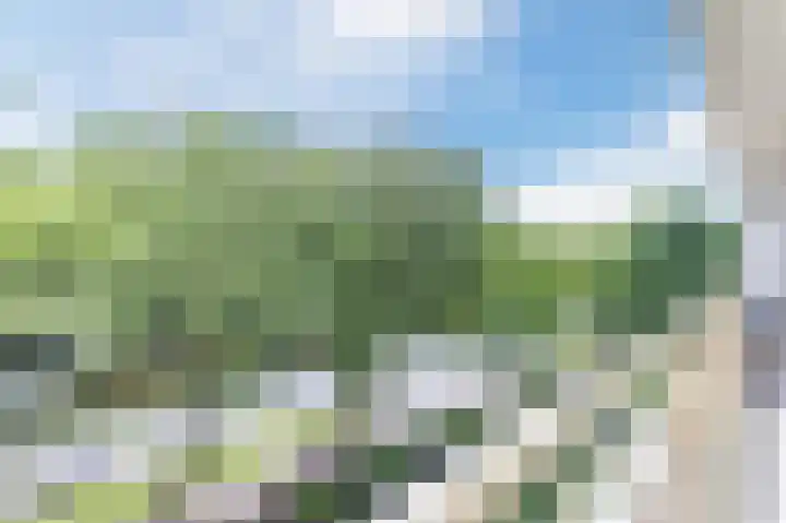 Livingstonelaan 274 Utrecht thumbnail 4