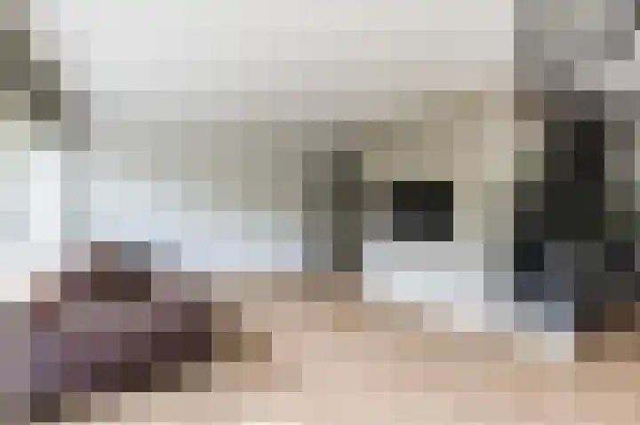 Livingstonelaan 274 Utrecht thumbnail 5