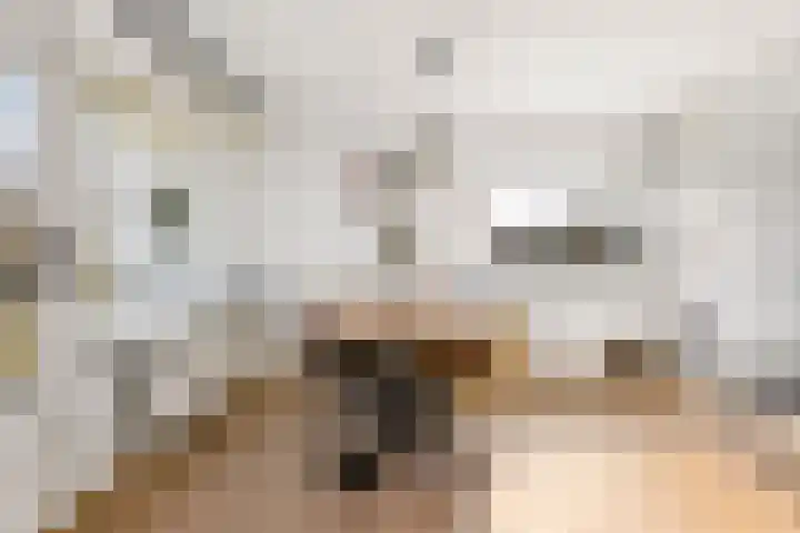 Livingstonelaan 276 Utrecht thumbnail 13