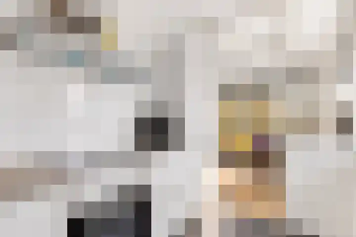 Livingstonelaan 276 Utrecht thumbnail 16