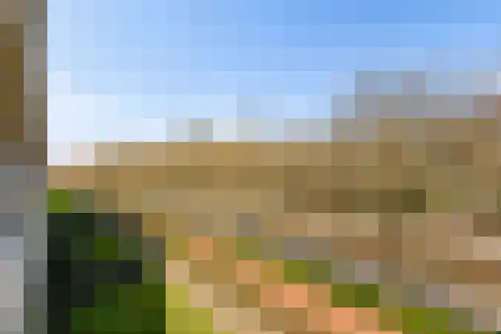 Livingstonelaan 276 Utrecht thumbnail 18