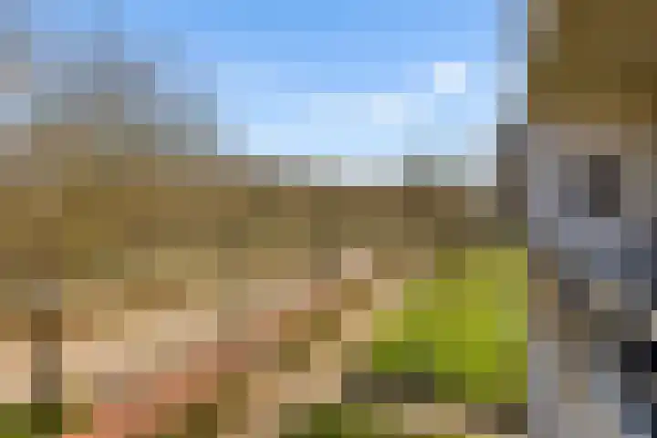 Livingstonelaan 276 Utrecht thumbnail 19