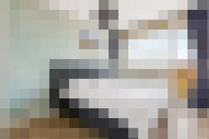 Livingstonelaan 276 Utrecht thumbnail 21