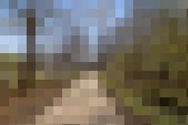 Livingstonelaan 276 Utrecht thumbnail 32