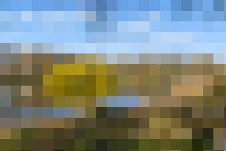 Livingstonelaan 276 Utrecht thumbnail 34