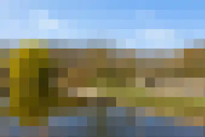 Livingstonelaan 276 Utrecht thumbnail 35