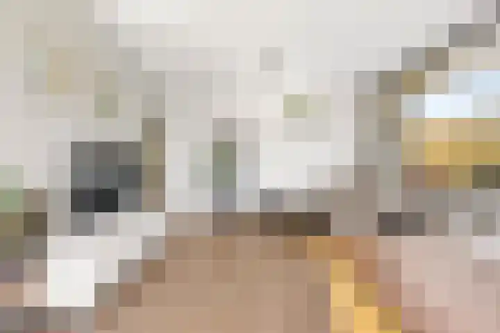 Livingstonelaan 276 Utrecht thumbnail 9