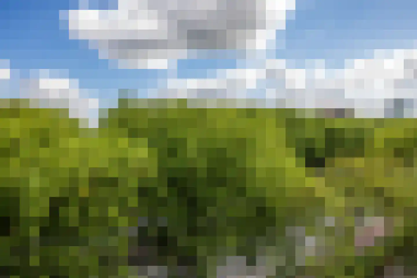 Livingstonelaan 294 Utrecht thumbnail 15