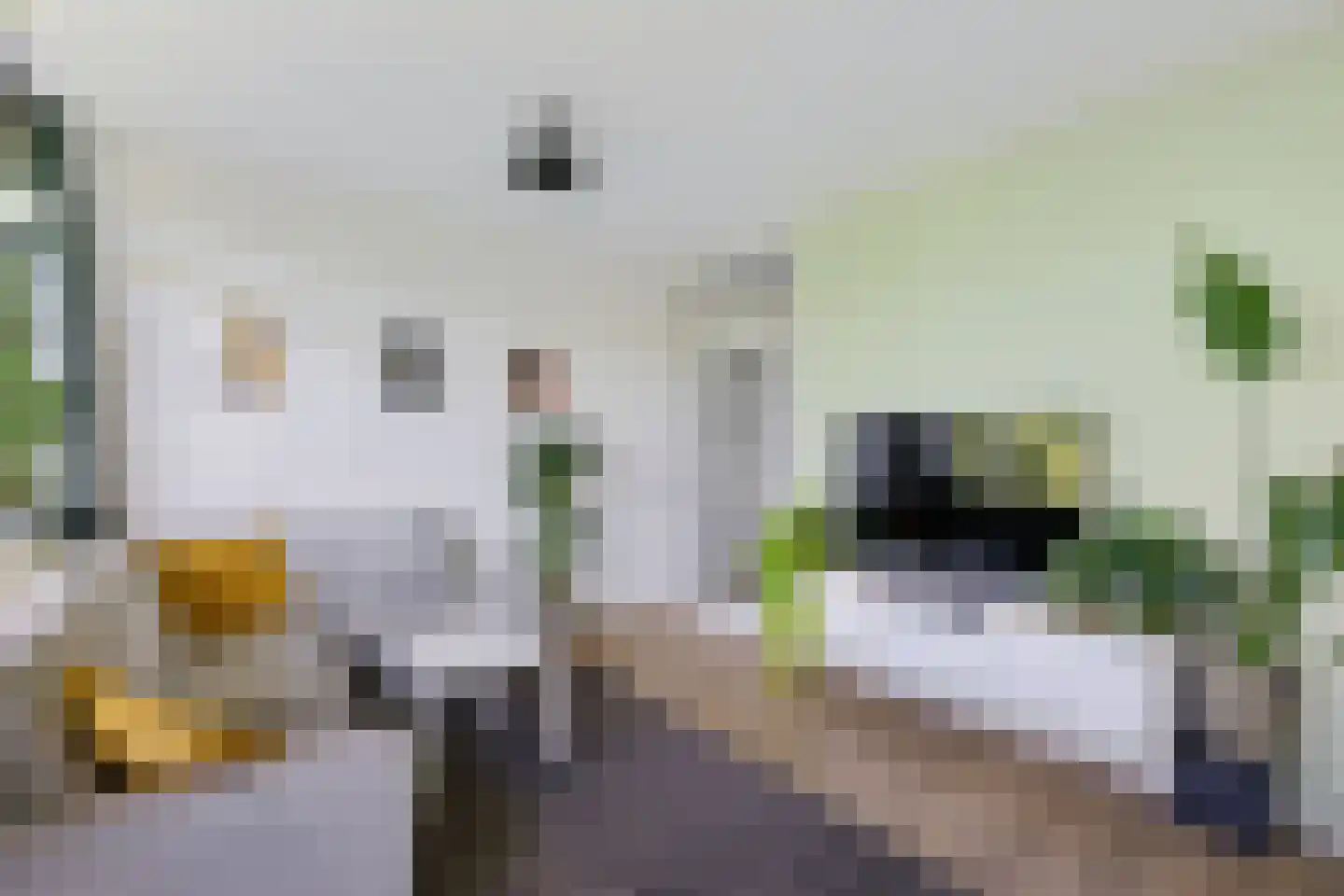 Livingstonelaan 294 Utrecht thumbnail 6