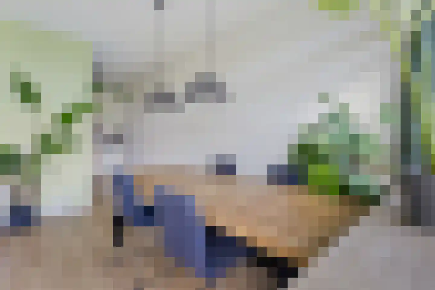 Livingstonelaan 294 Utrecht thumbnail 8