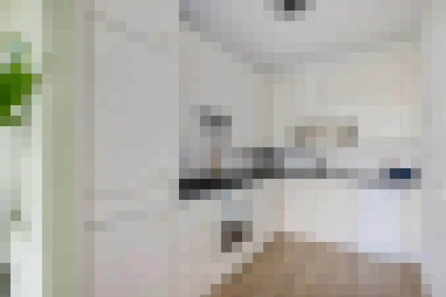 Livingstonelaan 294 Utrecht thumbnail 9