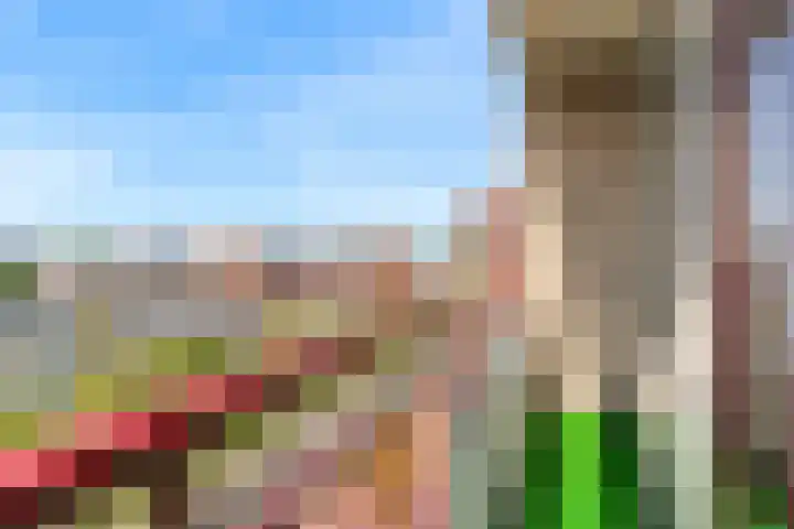 Livingstonelaan 320 Utrecht thumbnail 17