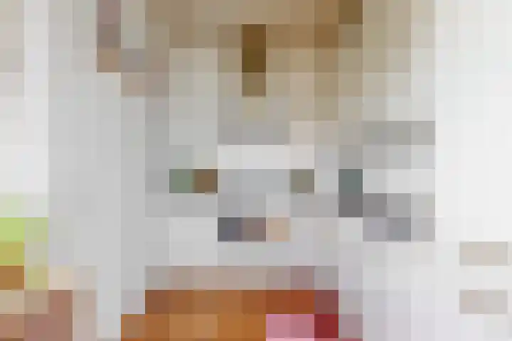 Livingstonelaan 320 Utrecht thumbnail 6