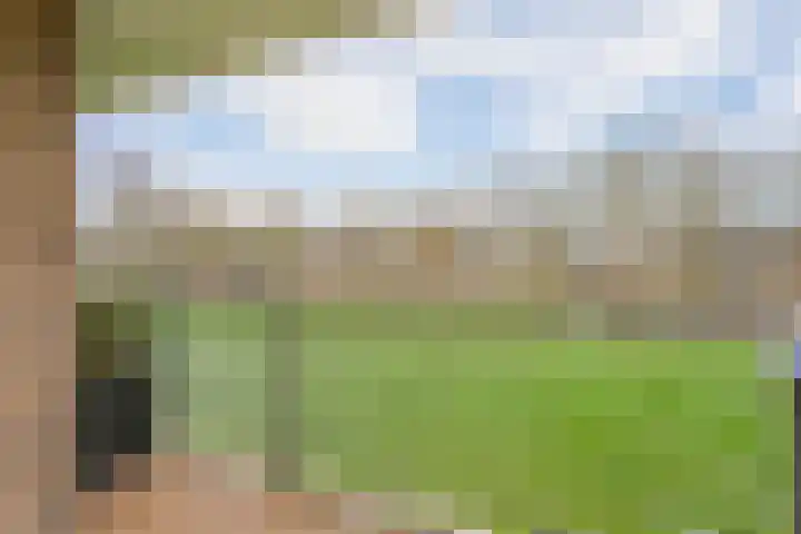 Livingstonelaan 376 Utrecht thumbnail 14