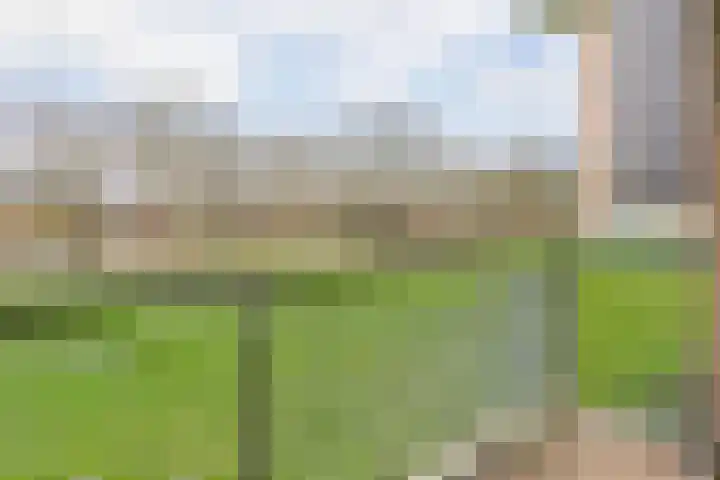 Livingstonelaan 376 Utrecht thumbnail 15