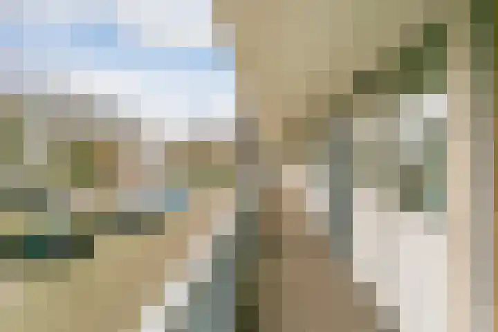 Livingstonelaan 376 Utrecht thumbnail 24