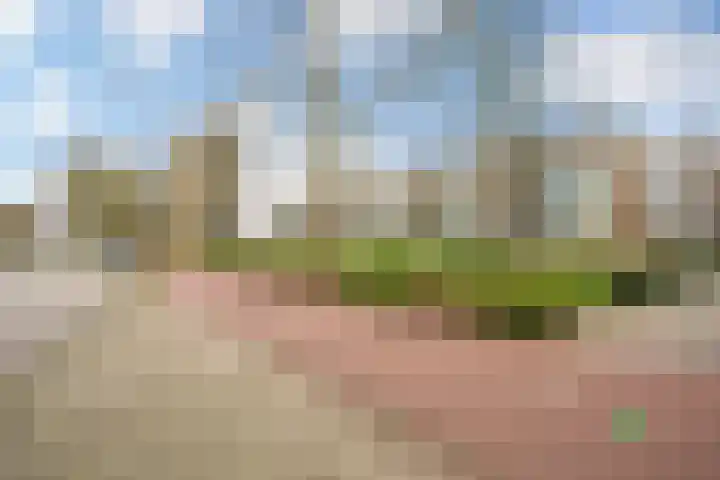 Livingstonelaan 376 Utrecht thumbnail 28