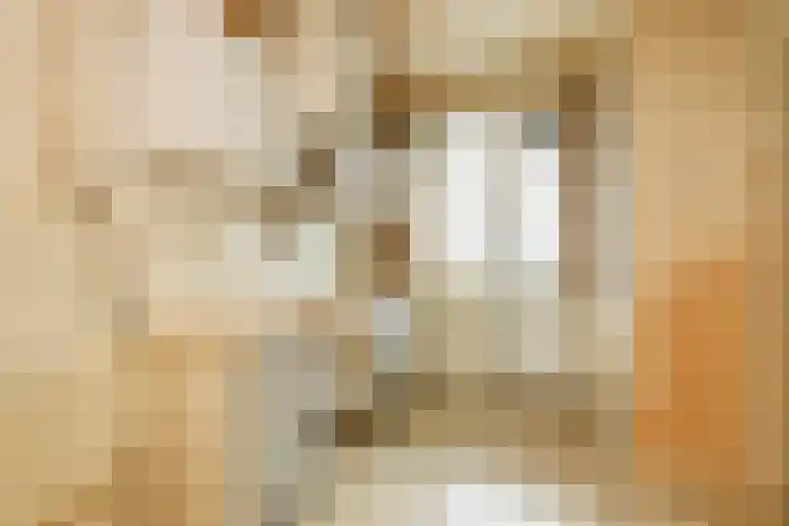 Livingstonelaan 376 Utrecht thumbnail 7
