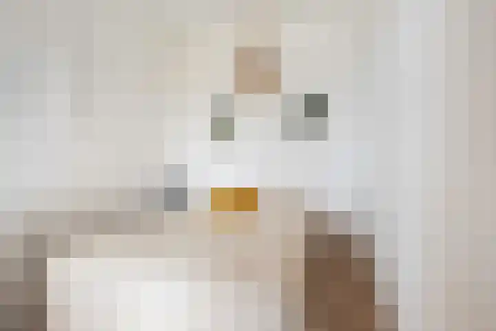 Livingstonelaan 40 Utrecht thumbnail 10