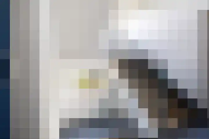 Livingstonelaan 40 Utrecht thumbnail 21