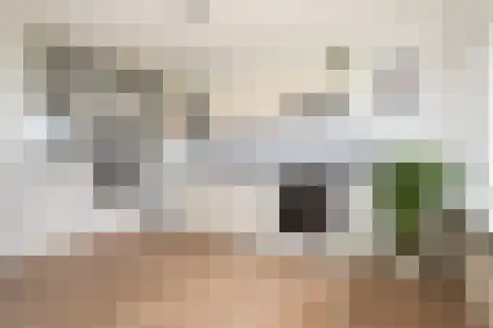 Livingstonelaan 40 Utrecht thumbnail 6