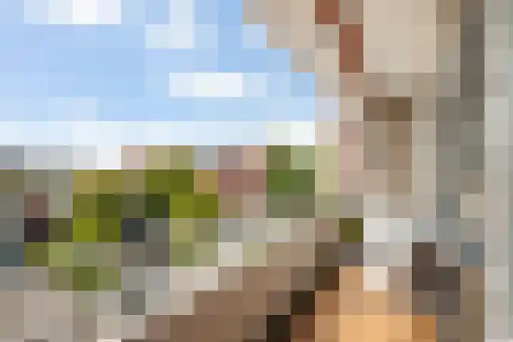 Livingstonelaan 40 Utrecht thumbnail 7