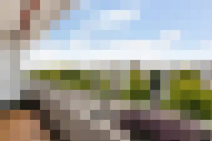 Livingstonelaan 40 Utrecht thumbnail 8