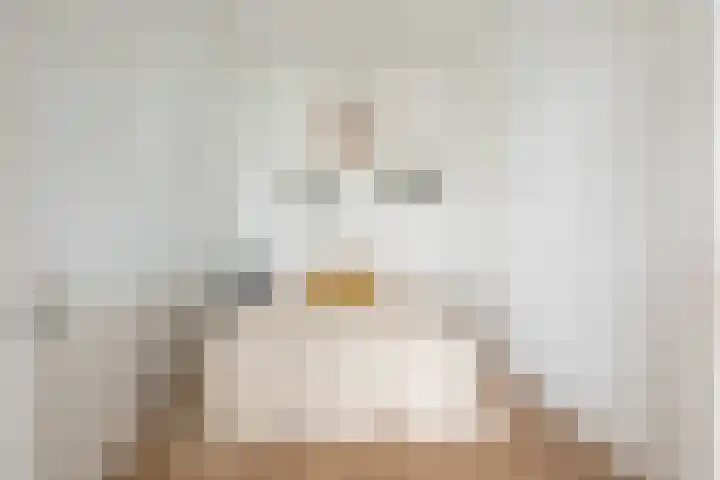 Livingstonelaan 40 Utrecht thumbnail 9