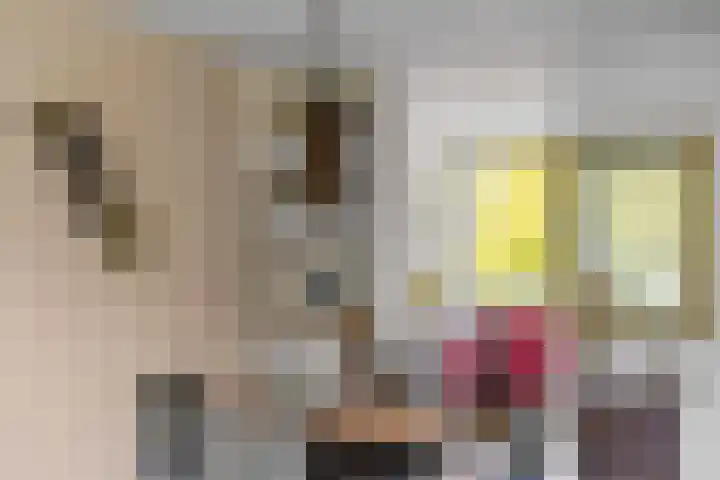 Livingstonelaan 400 Utrecht thumbnail 13