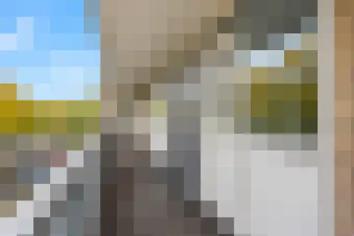 Livingstonelaan 400 Utrecht thumbnail 5