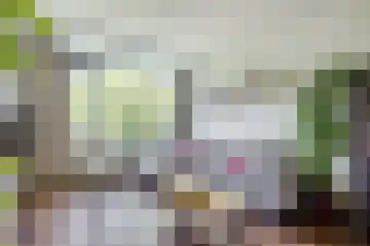 Livingstonelaan 402 Utrecht thumbnail 10
