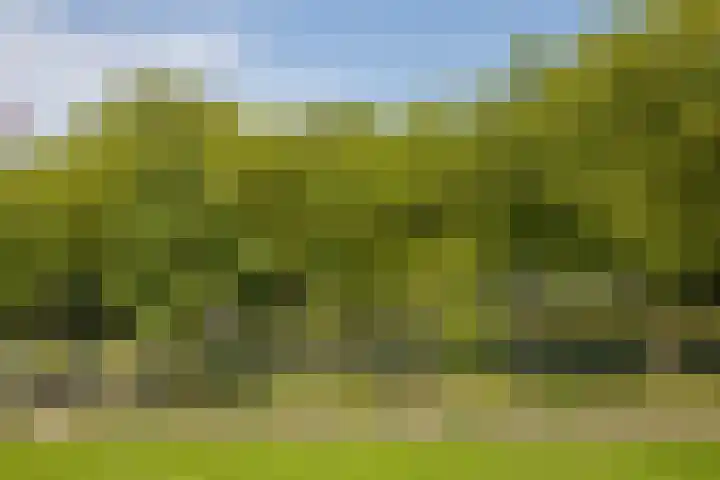 Livingstonelaan 402 Utrecht thumbnail 11