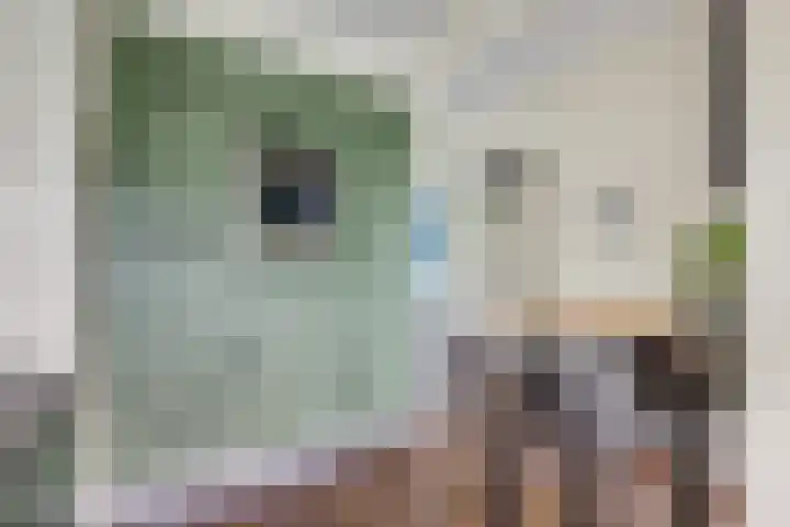 Livingstonelaan 402 Utrecht thumbnail 17