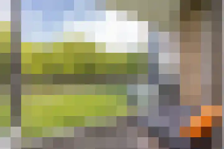 Livingstonelaan 402 Utrecht thumbnail 22