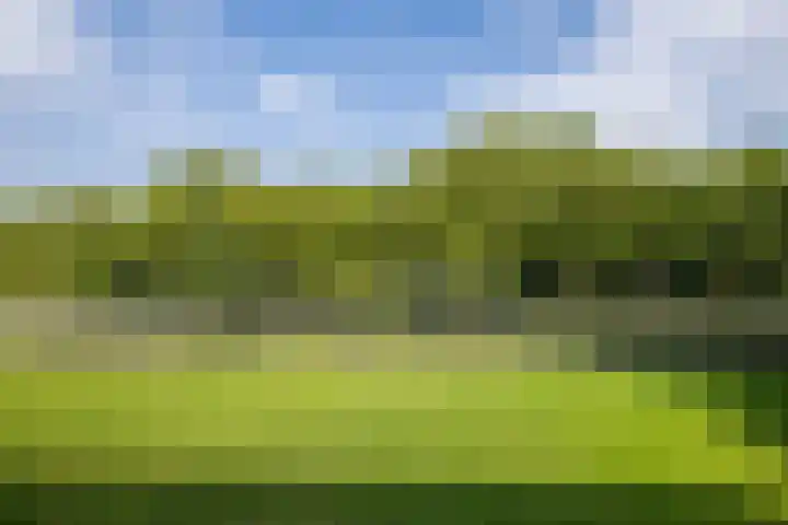 Livingstonelaan 402 Utrecht thumbnail 23