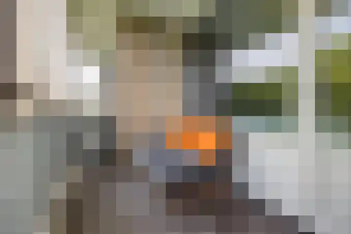 Livingstonelaan 402 Utrecht thumbnail 24